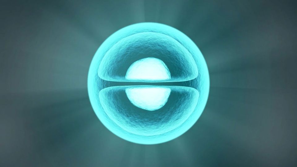 A cell splits into two halves within a circle.