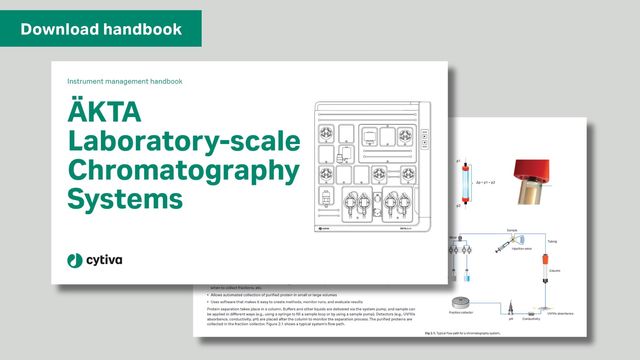 A System Management Guide to Protein Purification Chromatography 