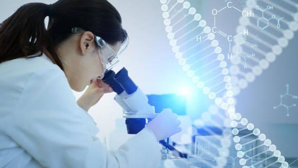 AAV Purification Techniques to Advance Gene Therapy