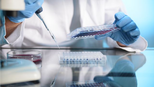 A scientist loading samples into a microwell plate. 