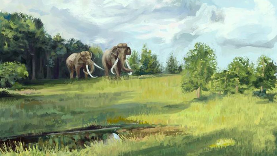 A painting of elephants in a forest.