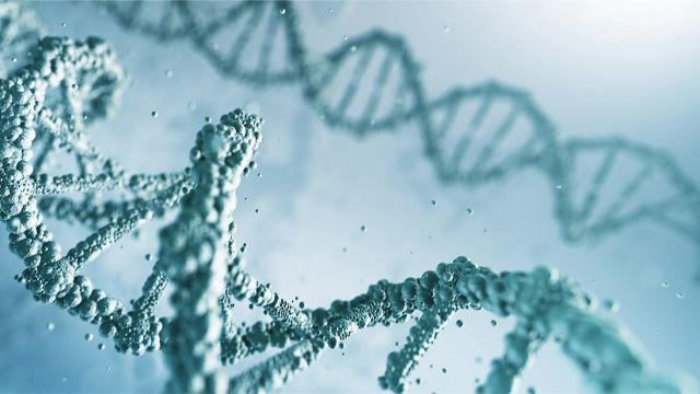 Applications of Whole Exome Sequencing content piece image 