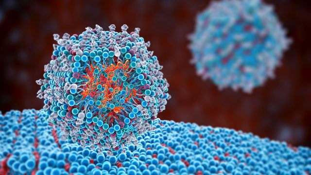 Assessing mRNA and LNP Quality Attributes and Impurities content piece image 