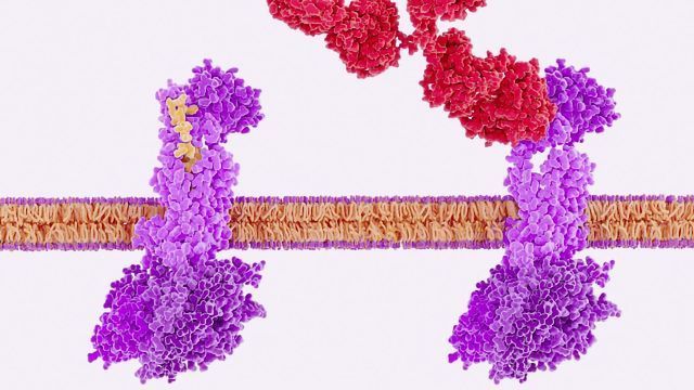 Binding Kinetics in Drug Discovery content piece image 