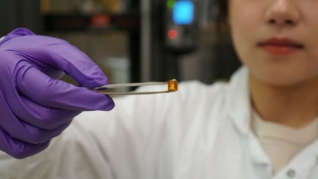 Dr. Linglan Fu holding the hydrogel.   