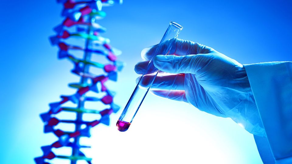 A test tube containing pink liquid is held up by a gloved hand in front of a DNA model.