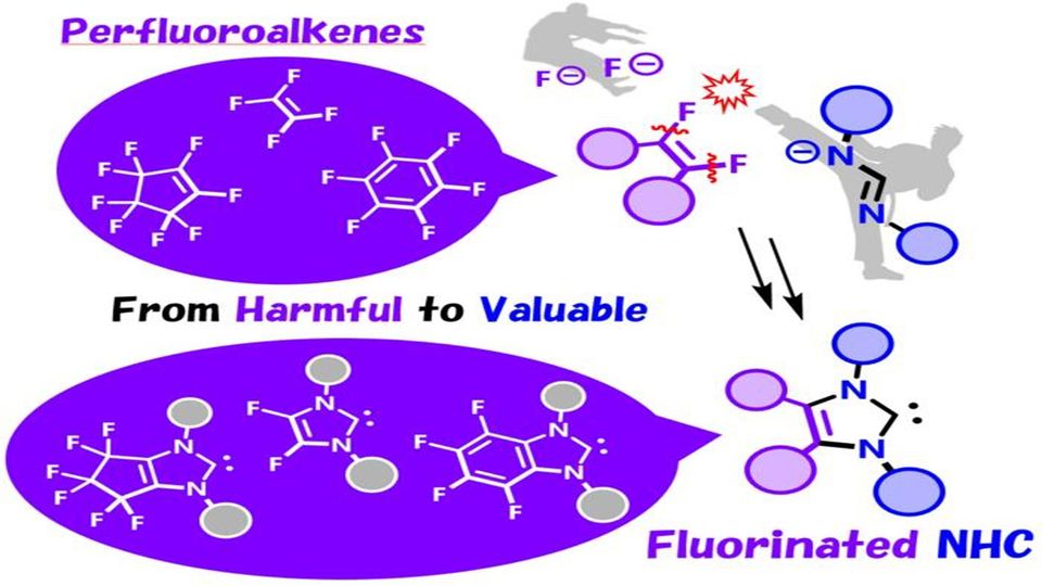 Flow chart showing the removal of two fluorine atoms from 1,2-difluoroalkene derivatives.