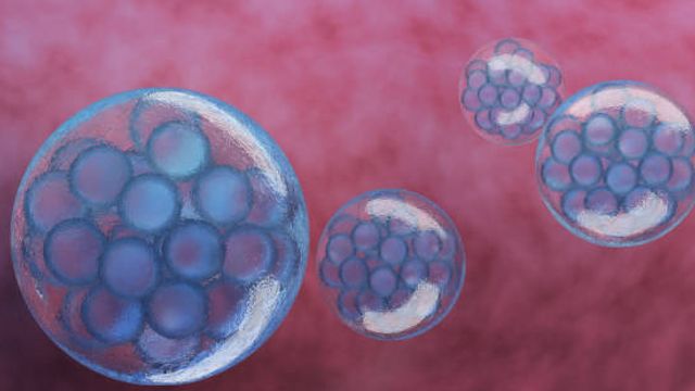 Deep Learning-Based Image Analysis for Label-Free Monitoring of iPSC and 3D Organoid Cultures content piece image 