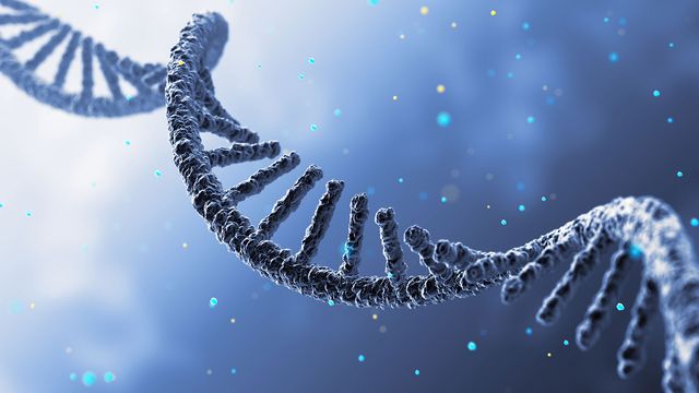  DNA fragments 