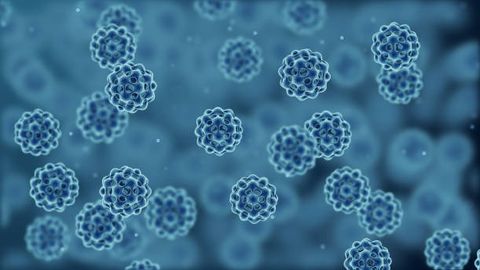 Detection and Monitoring of Host Cell Proteins With LC-MS