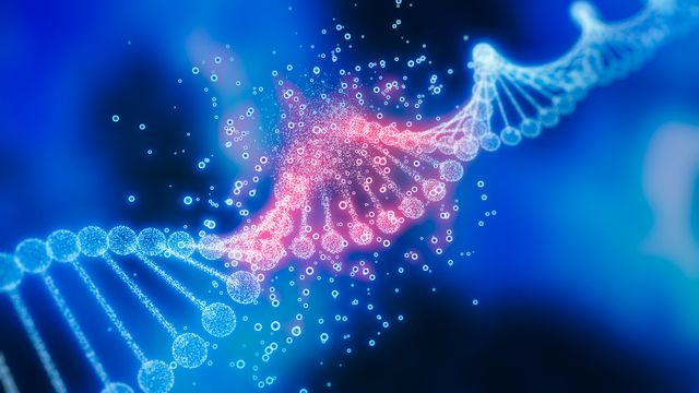 Double helix structure of DNA. 