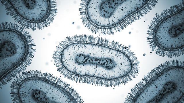 DNA Microbial 