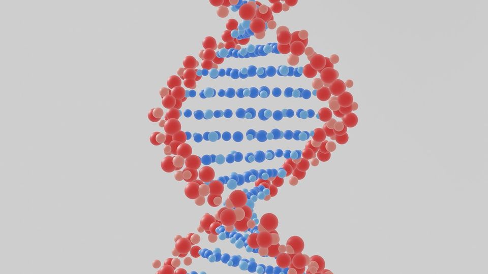 DNA double helix.