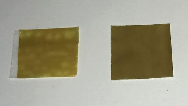 Two squares of biofilm material. 