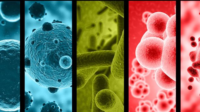 Flow Cytometry for Microbiology Research content piece image 