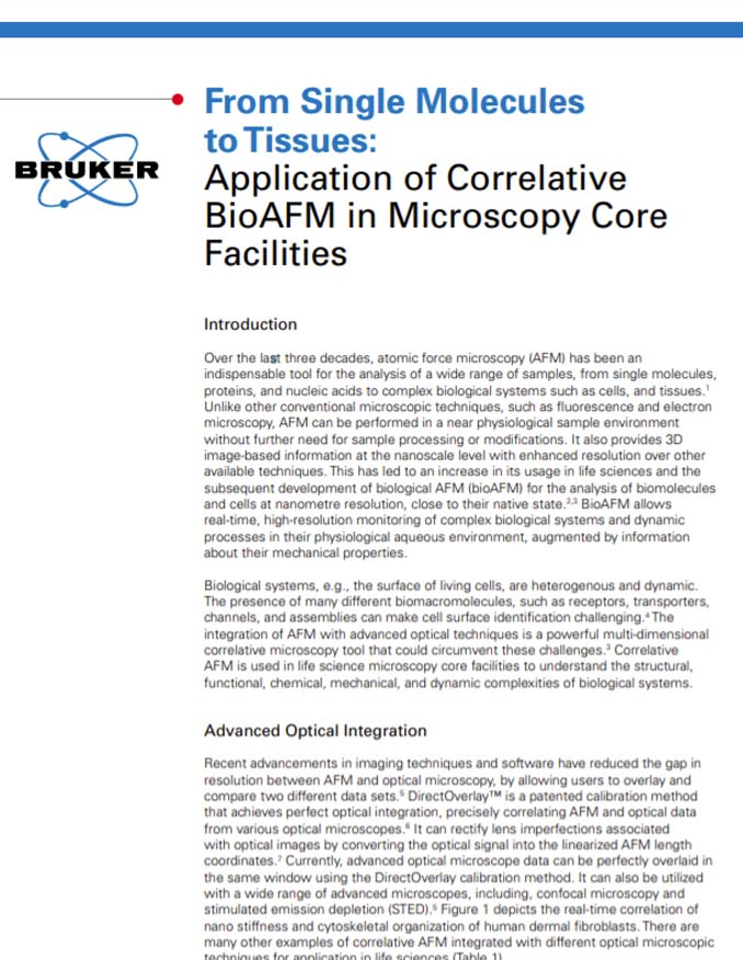 A listicle for Bruker focused on the benefits of their biological atomic force microscopes and their applications.