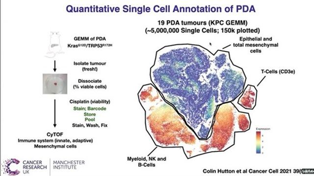 From Cells to Systems – Using Proteomics to Interrogate the Tumor Microenvironment content piece image 