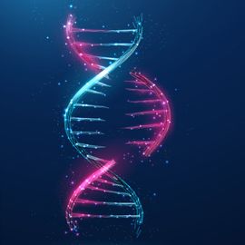 A section of RNA split from a DNA strand. 