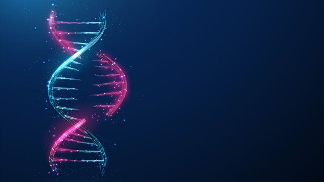 A section of RNA split from a DNA strand. 