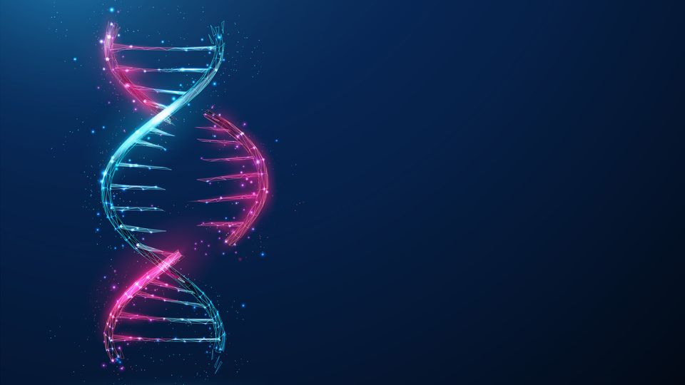 A section of RNA split from a DNA strand.