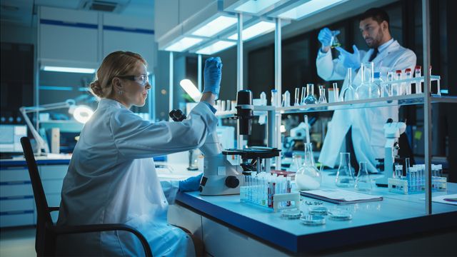 Two scientists working in a lab. 