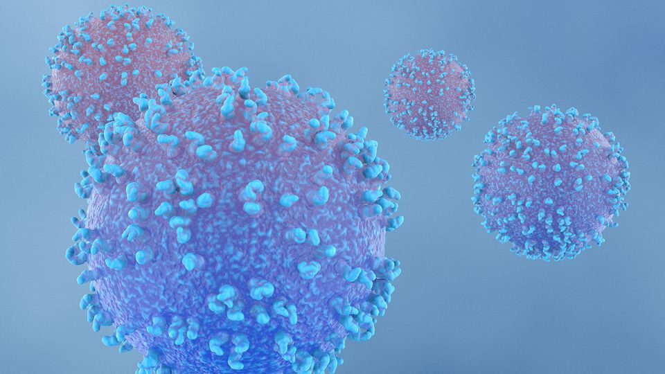 Illuminating Immunology with Spectral Flow Cytometry