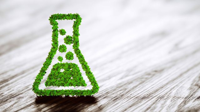 Conical flask shape made from greenery. 