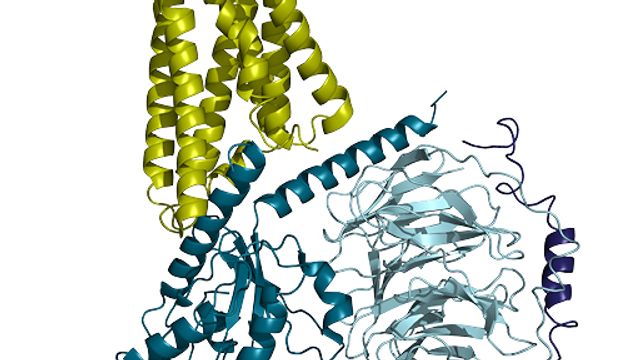 Integrative Structural Biology: High Precision 3D Analysis from Structure to Function content piece image 