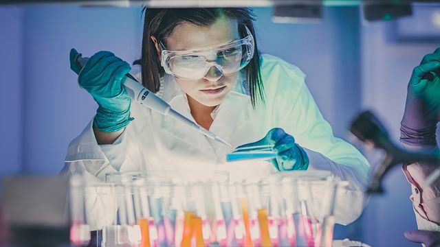 A lab worker pipetting into a plate. 