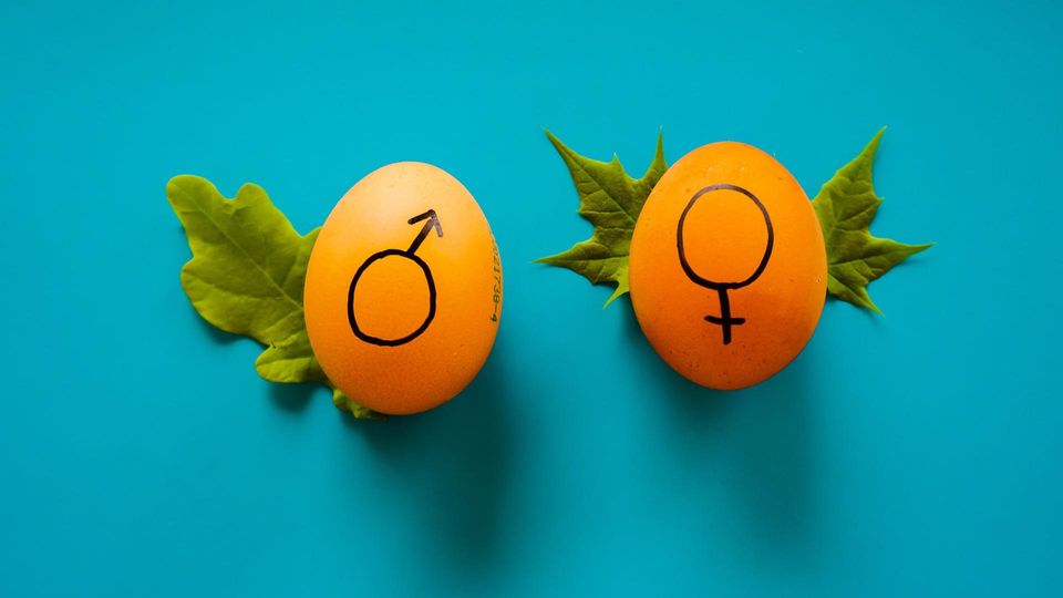 Venus and Mars symbol drawn on eggs.