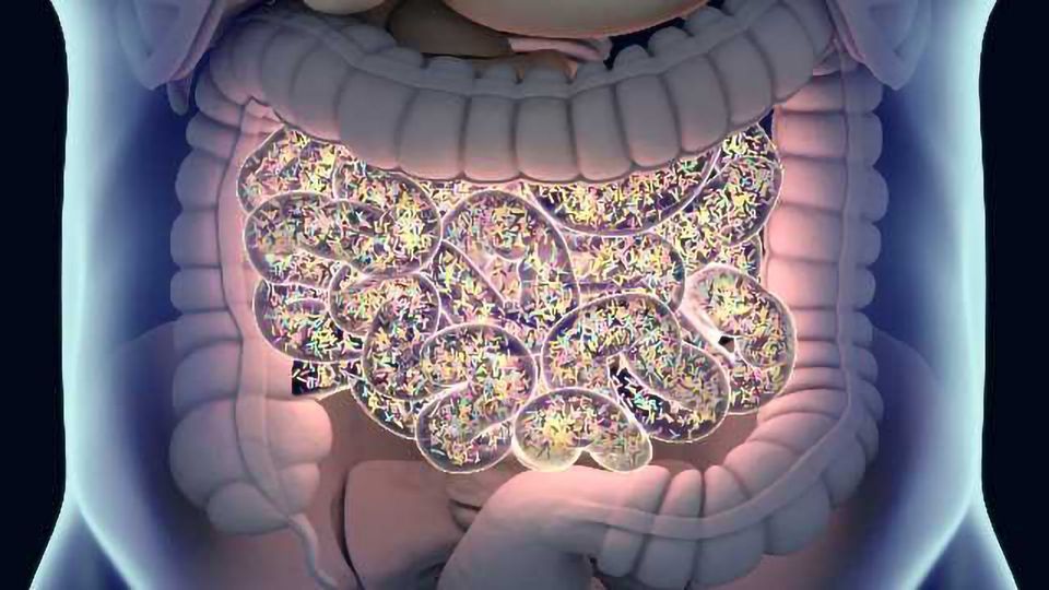 Metagenomics: Exploring Microbiomes at Nature’s New Frontiers   content piece image