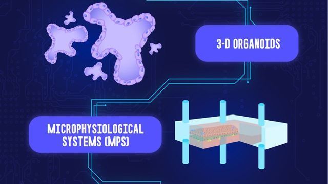 Microphysiological Systems content piece image 