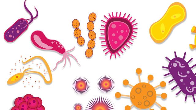 Microplate-Based Assays in Microbiology Research content piece image 