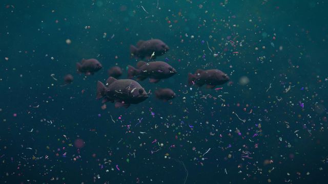 Fish swimming amongst microplastics. 