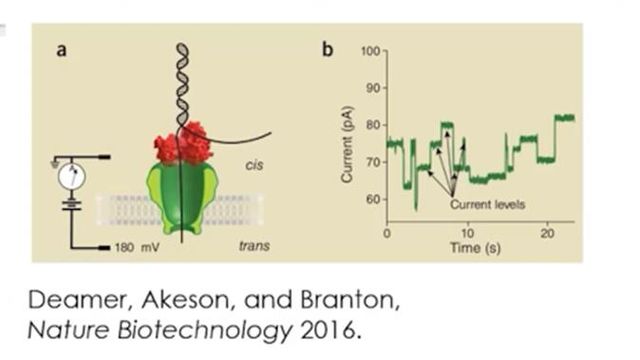 Nanopore Sequencing of Cancer Genomes content piece image 