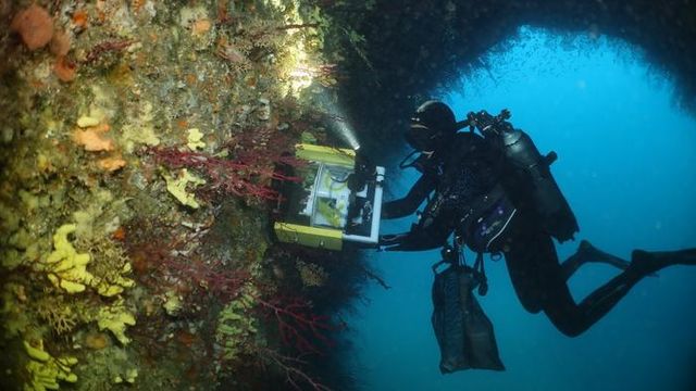 Diver in the sea cave. 