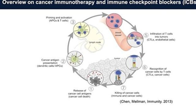 Next-Generation STING Agonists for Immunotherapy Against Advanced Cancer content piece image 