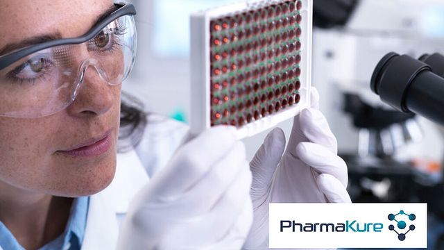 A scientist holding up a 96-well plate. 