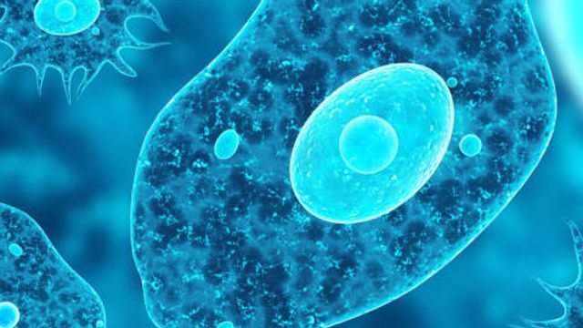 Progress Towards Out-of-the-Box Sub-Cellular Imaging content piece image 