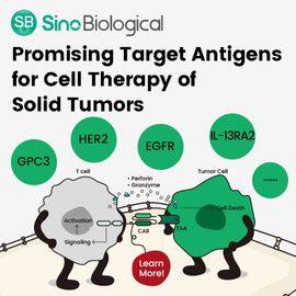 Promising Target Antigens for Cell Therapy of Solid Tumors content piece image 