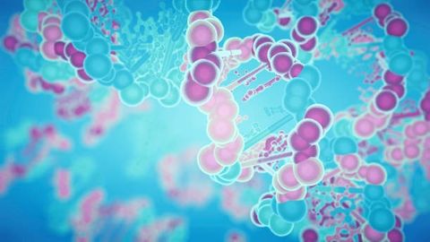 Protein Sequence Analysis: Next-Generation vs Mass Spectrometry Methods 