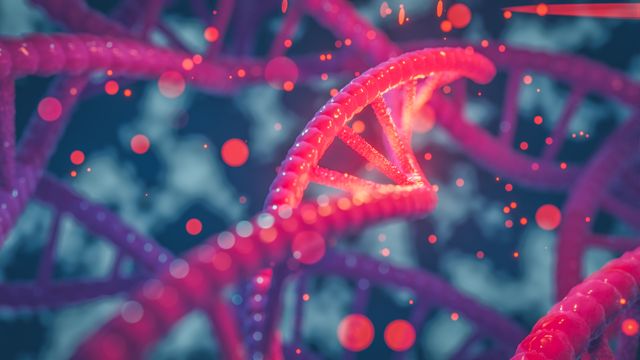 Double helix structure of DNA. 