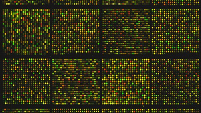 A microarray result. 