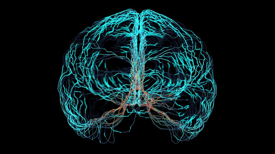 Turquoise and orange electric signals making up a human brain.