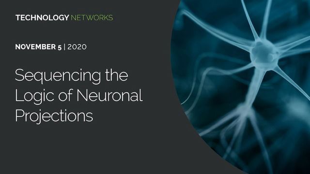 Sequencing the Logic of Neuronal Projections content piece image 