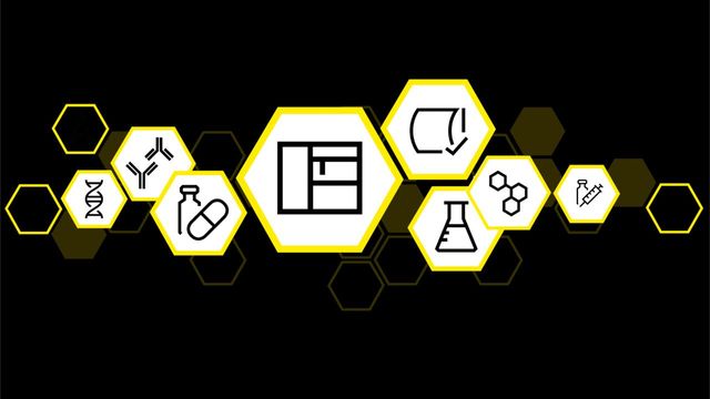 Streamlining Affinity Analysis for Accelerated Drug Discovery 