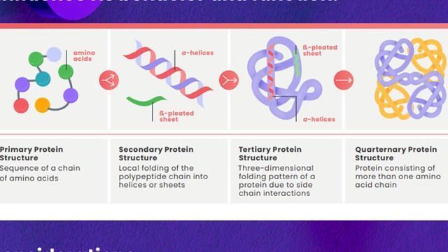 Structural Biology content piece image 