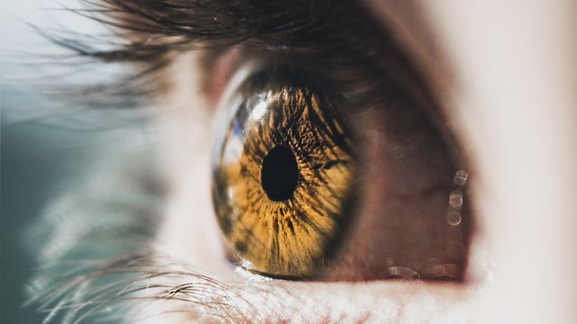 Close up of a brown eye. 