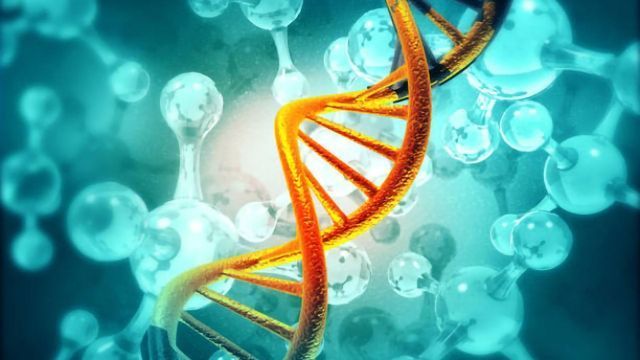 Targeted Libraries and Their Applications for Directed Evolution of Enzymes content piece image 