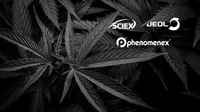 The Analytical Landscape of Cannabis Testing Session 4: Residual Solvents & Terpenes by GC-MS content piece image 